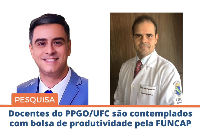 Docentes do PPGO/UFC são contemplados com bolsa de produtividade pela ...